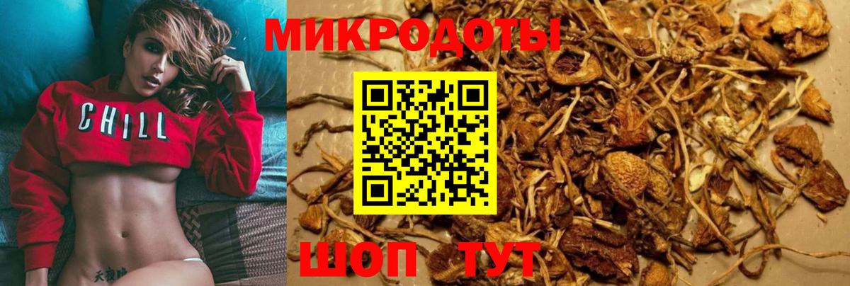 Псилоцибиновые грибы Psilocybine cubensis  Вход с VPN  Кимовск 
